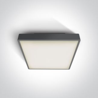 ONE LIGHT 67282EA/AN Warkiza plafon antracyt 16W IP65 korpus ABS i klosz PC
