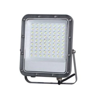 ITALUX FD-23913-50W Timbo naświetlacz szary