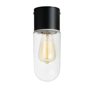 MARKSLOJD 107796 ZEN lampa sufitowa 1L Black/Clear IP44
