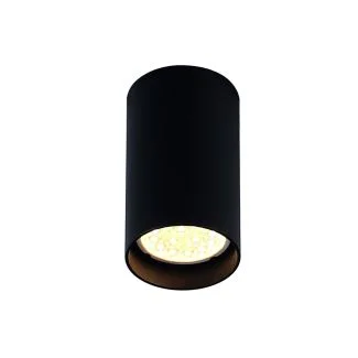 MAXLIGHT PET ROUND NEW plafon C0142