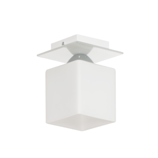 WYPRZEDAŻ Lampex Floki 559/1 BIA, E27, 1x 40 W, Metal/Sticla