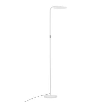 LUCES EXCLUSIVAS BUENA LE44290 lampa podłogowa