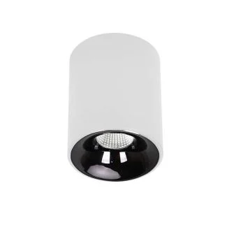 LIGHT PRESTIGE LP-4848/1RM WH Oprawa natynkowa Tom biała LED CCT