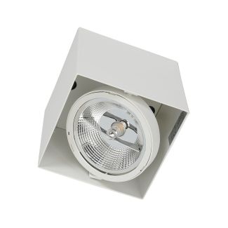 MILAGRO ML4743 Oprawa Natynkowa Plaza 1xGU10 AR111 Biały