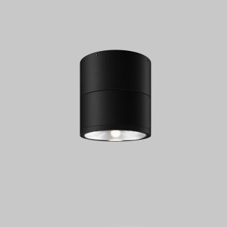MAYTONI Lampa sufitowa O310CL-L12GF3K