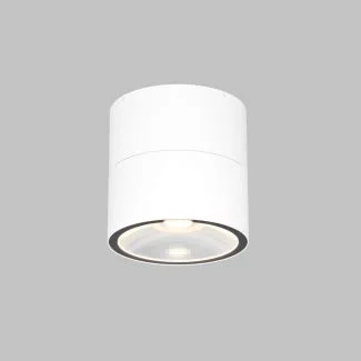 MAYTONI Lampa sufitowa O310CL-L12W3K