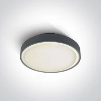 ONE LIGHT 67280AN/AN/W Poka 2 plafon antracyt LED 3000K 24W IP65