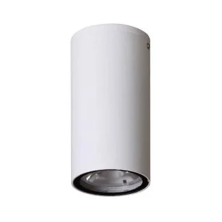 ITALUX OPN-2002-3K Fano 3K lampa zewnętrzna natynkowa biały