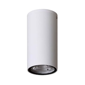 ITALUX OPN-2002-4K Fano 4K lampa zewnętrzna natynkowa biały