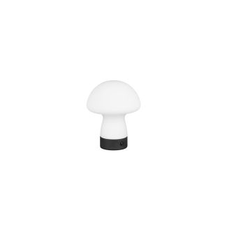 RL DOOLEY R54981131 lampa stołowa