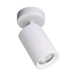 ZUMALINE TLS006-WH TORE LAMPA SUFITOWA BIAŁA/WHITE