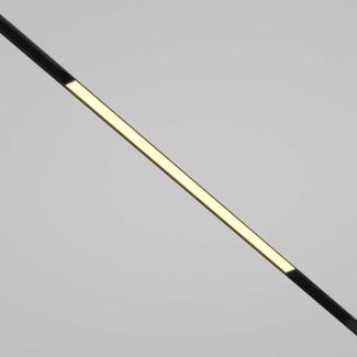 MAYTONI TR030-2-24W2.7K-B Basis oświetlenie szynowe