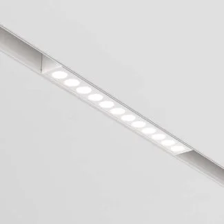MAYTONI TR031-2-12W3K-W Points Track Lighting biały