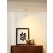 LUCIDE RILOU 26994/05/31 LAMPA ŚCIENNA - REFLEKTOR