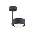 ARGON 8060 MASSIMO PLUS lampa wisząca 1 pł.