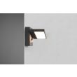 TRIO 226369142 HORTON lampa zewnętrzna ścienna