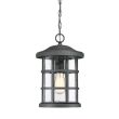 ELSTEAD Crusade QZ-CRUSADE8-BLK 1 Light Chain Lantern