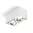 RENDL R13362 JAMES II DIMM sufitowa matowa biała 230V LED 2x15W 24° 3000K