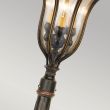 ELSTEAD BALTIMORE BT8/M Medium Chain Lantern