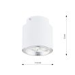 EMIBIG 1311/1 LAMPA SUFITOWA NANO 1 WHITE