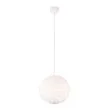 RL FURRY R31581001 LAMPA WISZĄCA inny