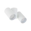 TK-LIGHTING 10975 AMIS WHITE DOWNLIGHT 2XGU10