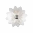 KOLARZ 5231.6065 FIORE lampa ścienna