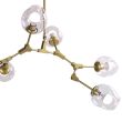 Step into Design ST-1232-6 GOLD transparent Lampa wisząca MODERN ORCHID-6 złoto transparentna 130 cm