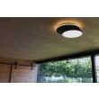 LUTEC 5205801012 LAMPA ZEWNĘTRZNA SUFITOWAGOLETA