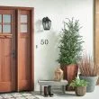 ELSTEAD Tangier KL-TANGIER2-M Medium Wall Lantern