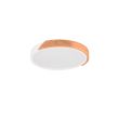 RL R67201131 JANO lampa sufitowa nowoczesna ledowa