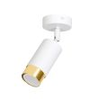 EMIBIG 963/1 LAMPA SUFITOWA HIRO 1 WH/GOLD