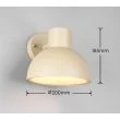 TRIO ELBE 262360166 lampa zewnętrzna ścienna