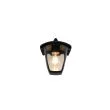 TRIO VENTA 263260132 lampa zewnętrzna ścienna