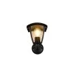 TRIO VENTA 263260232 lampa zewnętrzna ścienna