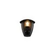 TRIO VENTA 263260332 lampa zewnętrzna ścienna