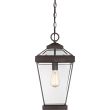 ELSTEAD Ravine QZ-RAVINE8-L Large Chain Lantern