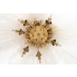 MOOSEE MSE1501100525 lampa wisząca TIFFANY 135 biała mosiądz / naturalne pióra