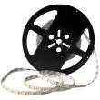 POLUX 309044 Taśma LED 12V 5m IP20 4000K 2400lm