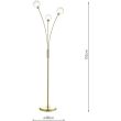 DAR AVA4941 AVARI 3LT FL SAT BRA