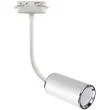 IDEUS 3814 MEGAN TRA 42 GU10 WHITE reflektor 1-fazowy