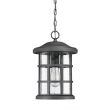 ELSTEAD Crusade QZ-CRUSADE8-BLK 1 Light Chain Lantern