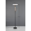 TRIO CELESTE 454910165 lampa podłogowa