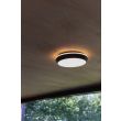 LUTEC 5205801012 LAMPA ZEWNĘTRZNA SUFITOWAGOLETA