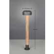 TRIO FRASER 462560135 lampa zewnętrzna stojąca