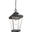 ELSTEAD Ravine QZ-RAVINE8-L Large Chain Lantern