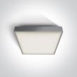 ONE LIGHT 67282ANE/G/W Skarpiza oświetlenie awaryjne szary plafon LED 3000K 16W IP65