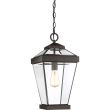 ELSTEAD Ravine QZ-RAVINE8-L Large Chain Lantern