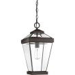 ELSTEAD Ravine QZ-RAVINE8-L Large Chain Lantern