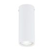 EMIBIG TECNO 1S WHITE Lampa sufitowa 1317/1S